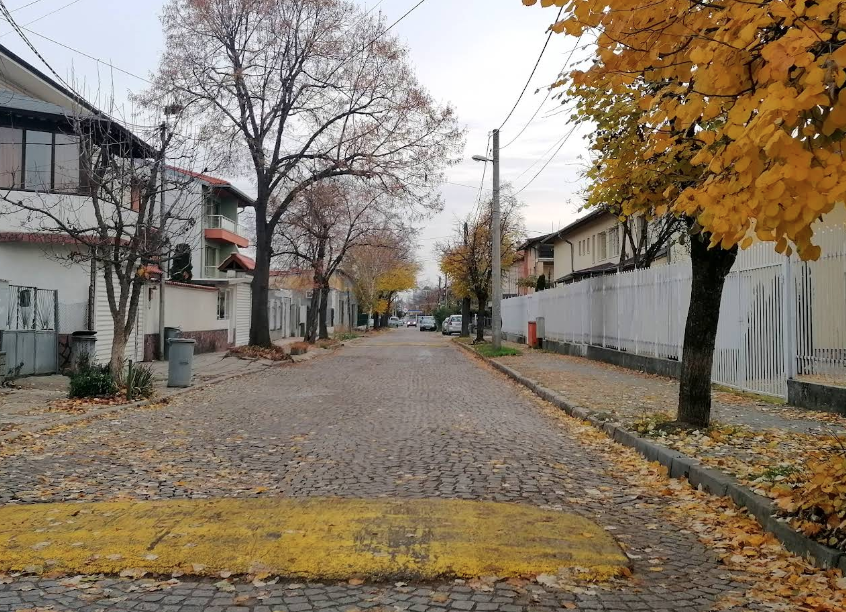 Обеля